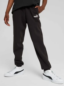 Брюки PUMA Ess No. 1 Logo Sweatpants Fl модель 684912 Фото