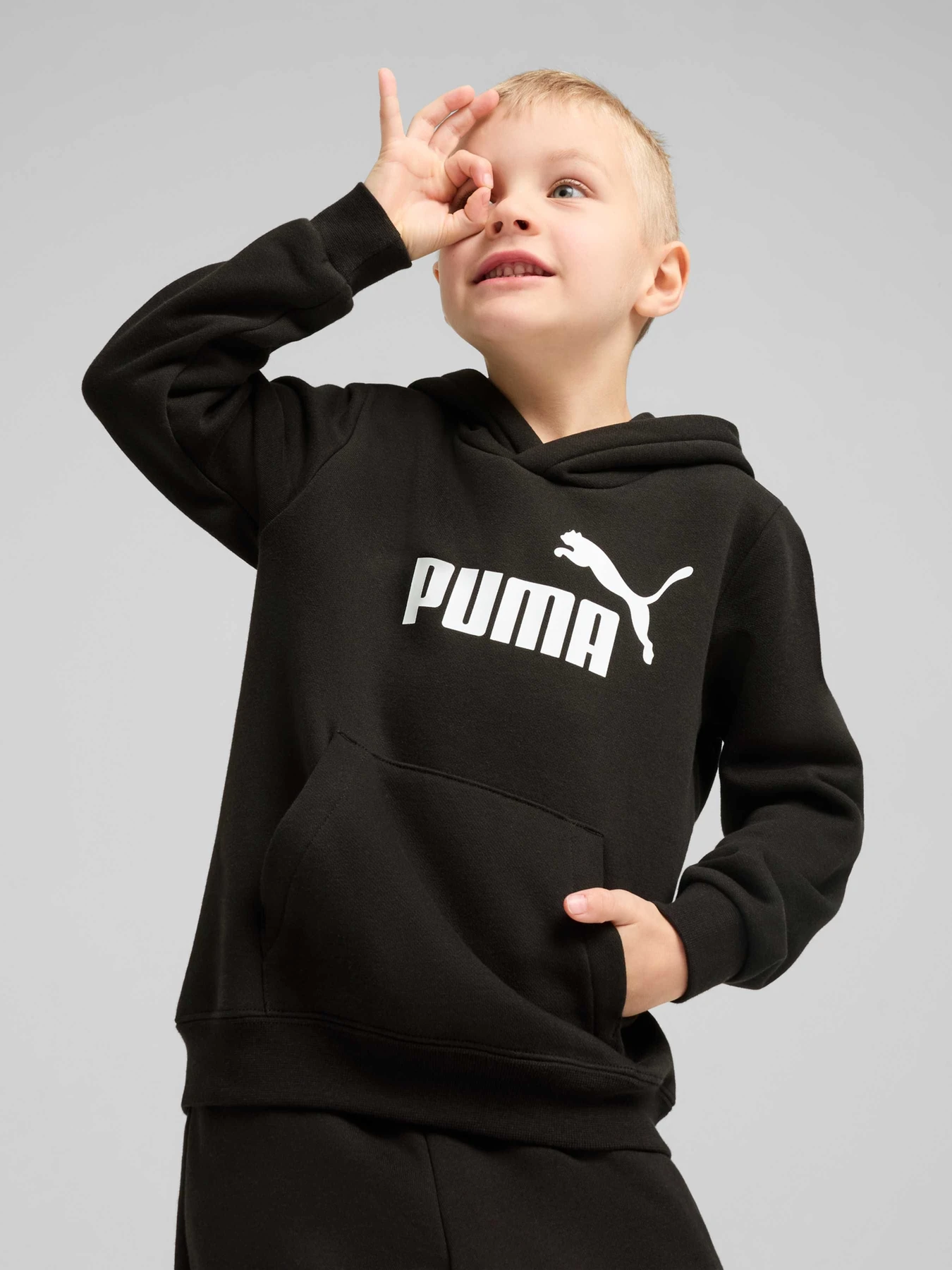 Худі та світшоти PUMA Ess No. 1 Logo Hoodie модель 684931 Фото