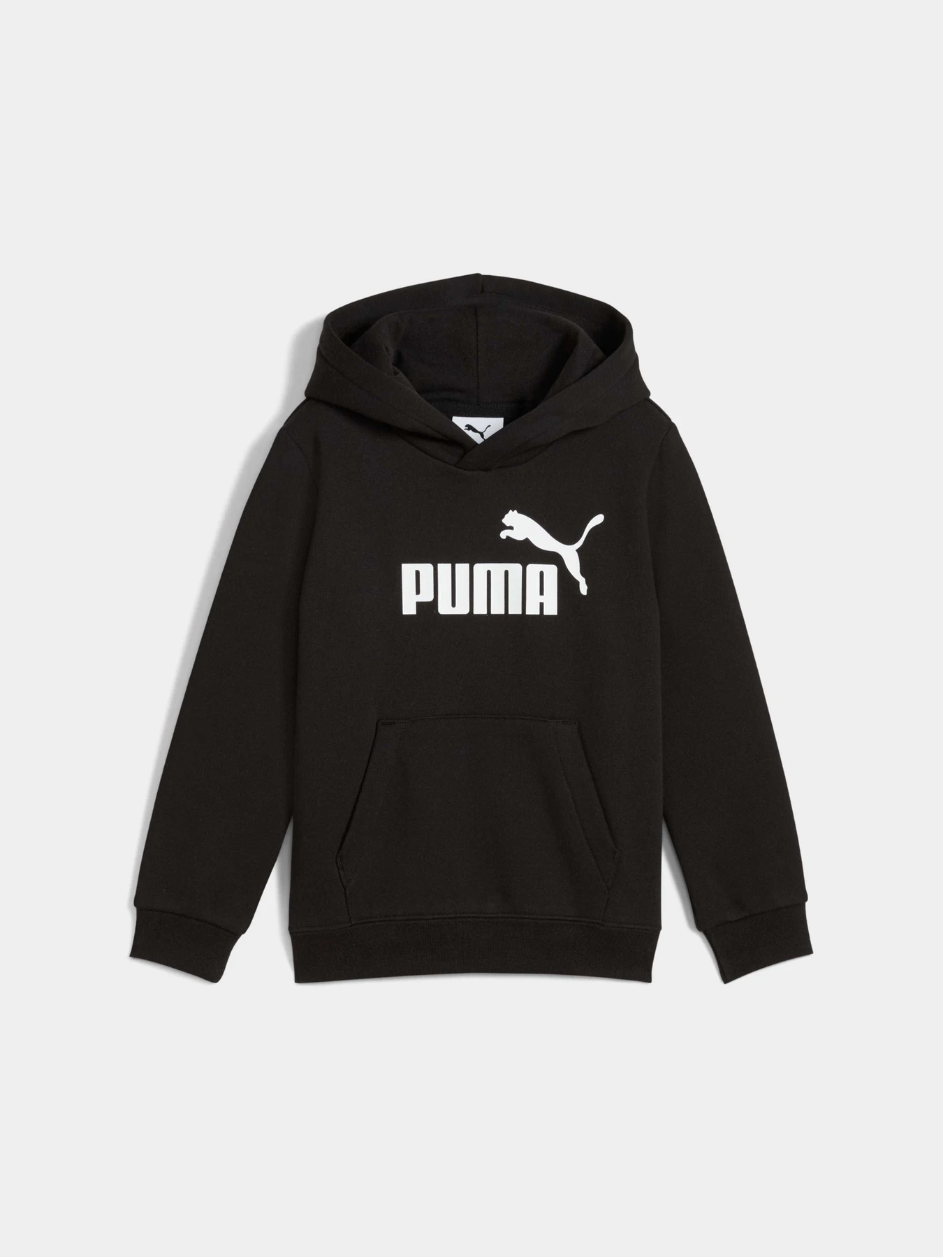 Худі та світшоти PUMA Ess No. 1 Logo Hoodie модель 684931 Фото
