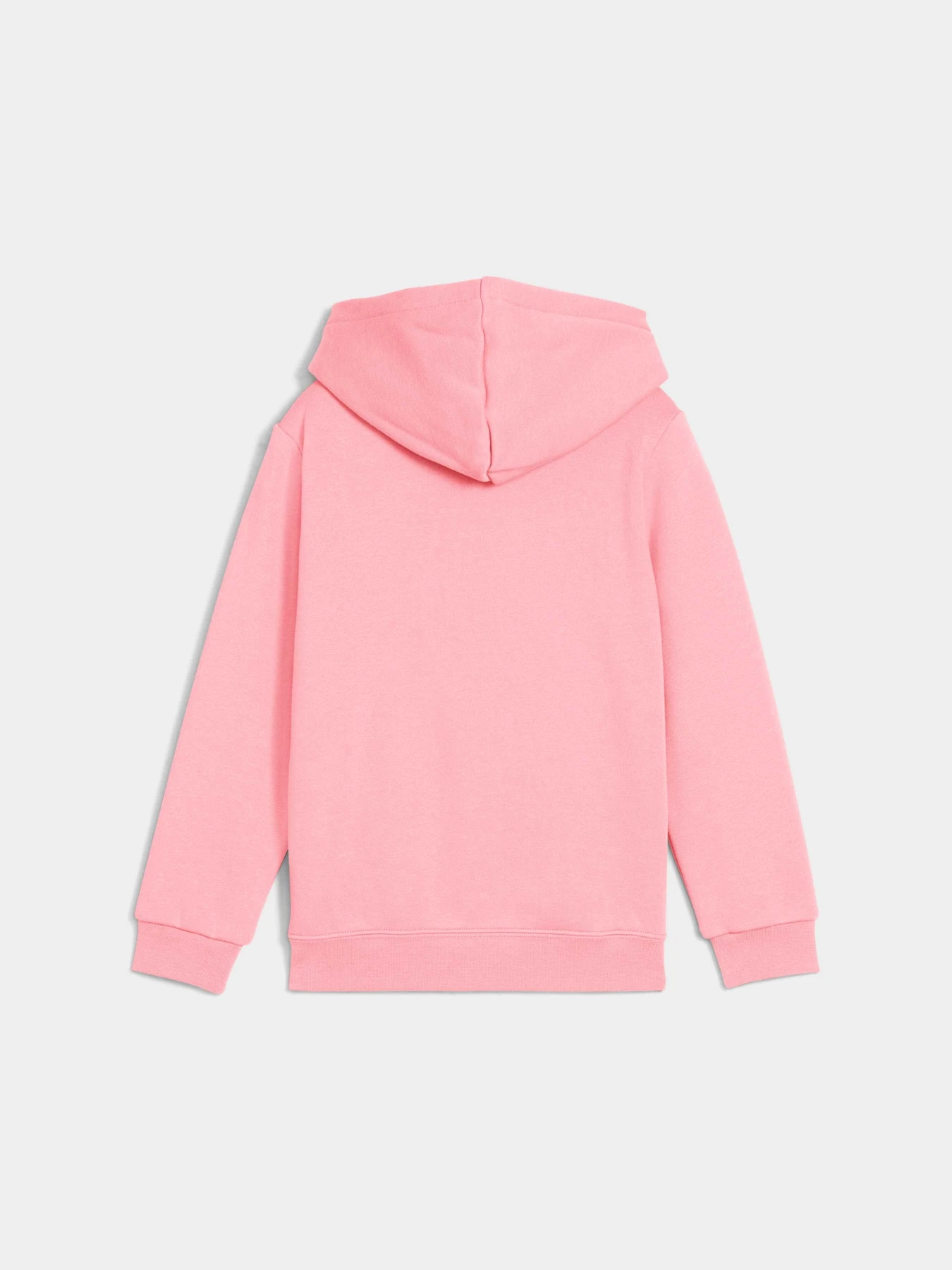 Худі та світшоти PUMA Ess No. 1 Logo Hoodie модель 684931 Фото