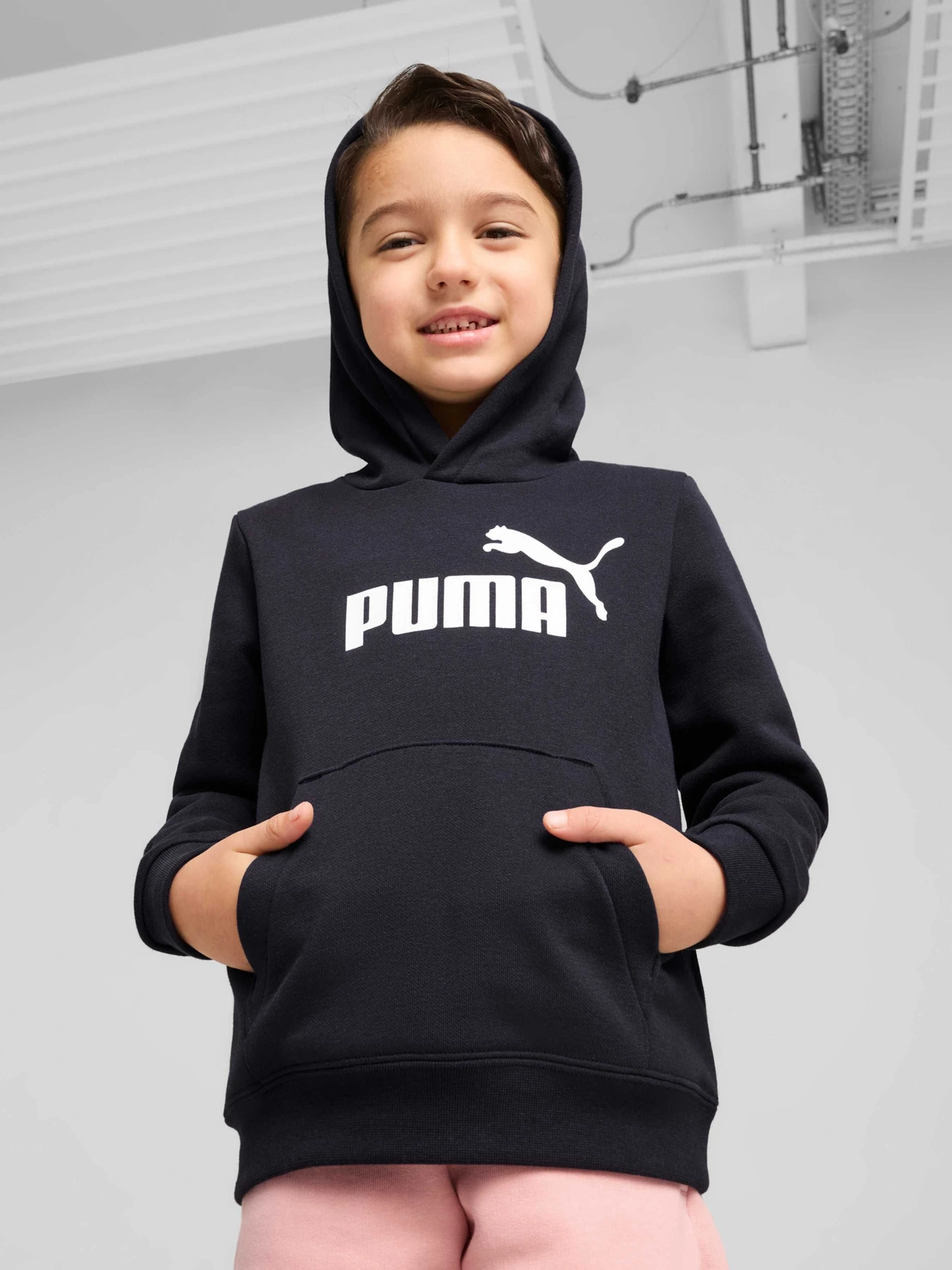 Худи и свитшоты PUMA Ess No. 1 Logo Hoodie модель 684931 Худи и свитшоты PUMA Ess No. 1 Logo Hoodie модель 684931 Фото