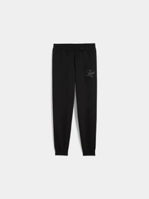 Штани PUMA Ess Script Sweatpants модель 688729 Фото
