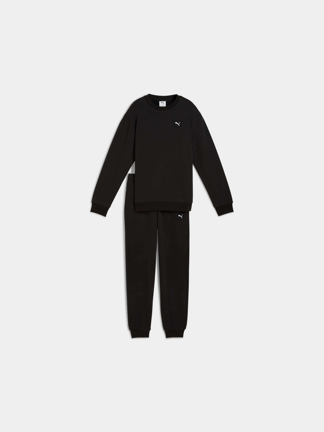 Костюми PUMA Ess Elevated Sweat Suit модель 689723 Костюми PUMA Ess Elevated Sweat Suit модель 689723 Фото