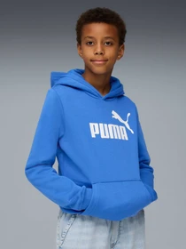 Худи и свитшоты PUMA Ess No. 1 Logo Hoodie Fl модель 684908 Фото