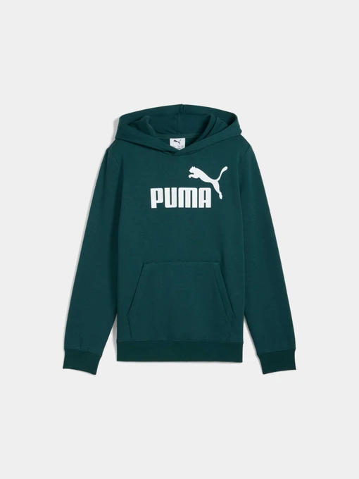 Худи и свитшоты PUMA Ess No. 1 Logo Hoodie Fl модель 684908 Фото