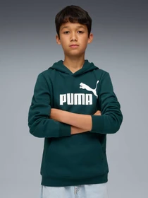 Худи и свитшоты PUMA Ess No. 1 Logo Hoodie Fl модель 684908 Фото