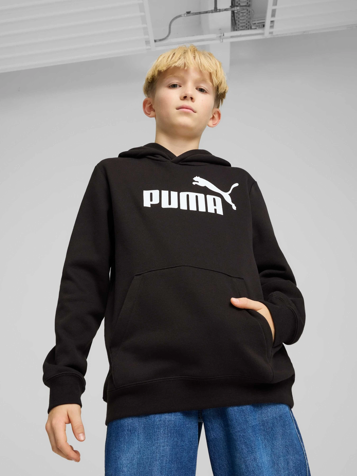 Худи и свитшоты PUMA Ess No. 1 Logo Hoodie Fl модель 684908 Фото