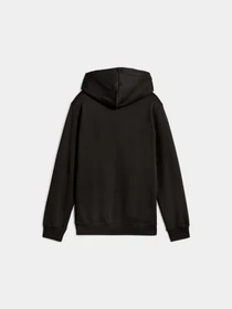 Худи и свитшоты PUMA Ess No. 1 Logo Hoodie Fl модель 684908 Фото