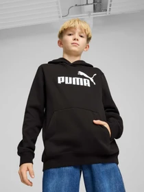 Худи и свитшоты PUMA Ess No. 1 Logo Hoodie Fl модель 684908 Фото