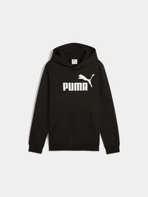 Худі та світшоти PUMA Ess No. 1 Logo Hoodie Fl модель 684908 Фото