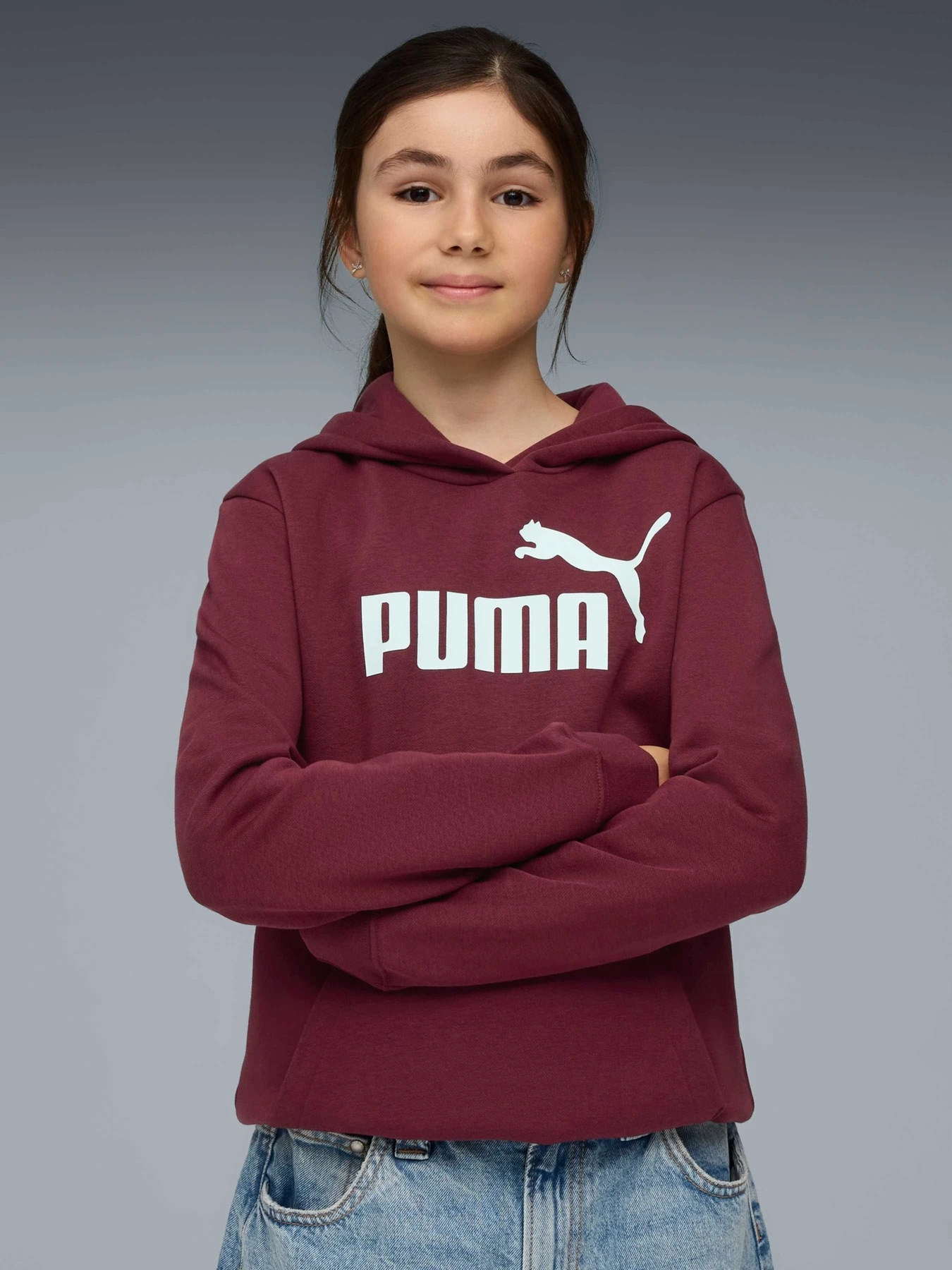 Худи и свитшоты PUMA Ess No. 1 Logo Hoodie модель 684896 Худи и свитшоты PUMA Ess No. 1 Logo Hoodie модель 684896 Фото