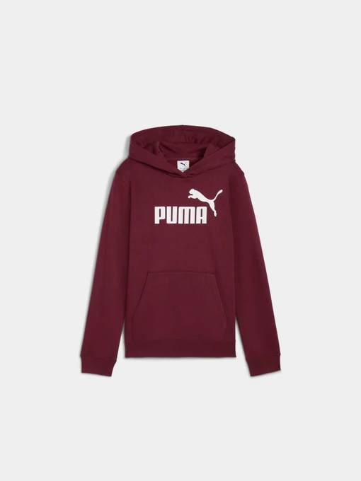 Худи и свитшоты PUMA Ess No. 1 Logo Hoodie модель 684896 Фото