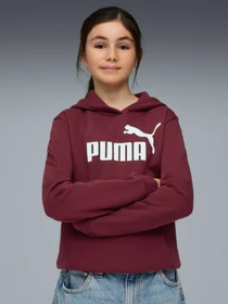 Худи и свитшоты PUMA Ess No. 1 Logo Hoodie модель 684896 Фото