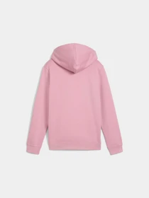 Худи и свитшоты PUMA Ess No. 1 Logo Hoodie модель 684896 Фото