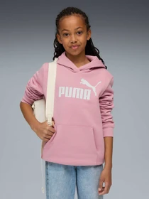 Худи и свитшоты PUMA Ess No. 1 Logo Hoodie модель 684896 Фото