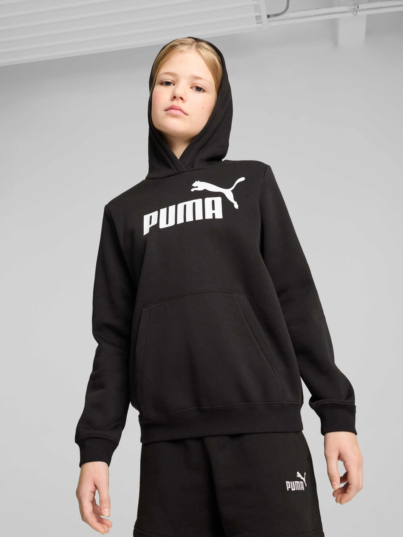 Худі та світшоти PUMA Ess No. 1 Logo Hoodie модель 684896 Фото