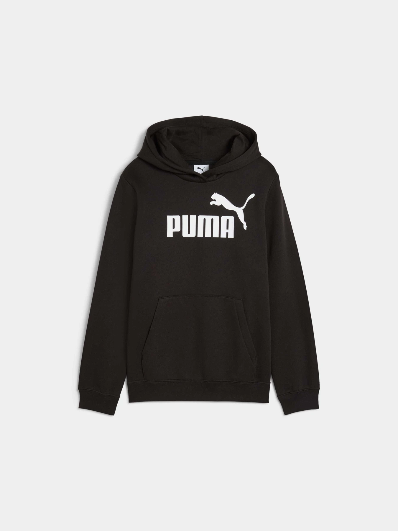 Худі та світшоти PUMA Ess No. 1 Logo Hoodie модель 684896 Фото