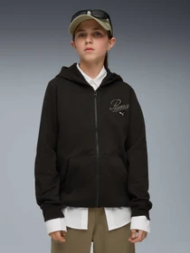 Худи и свитшоты PUMA Ess Script Full-zip Hoodie модель 689253 Фото