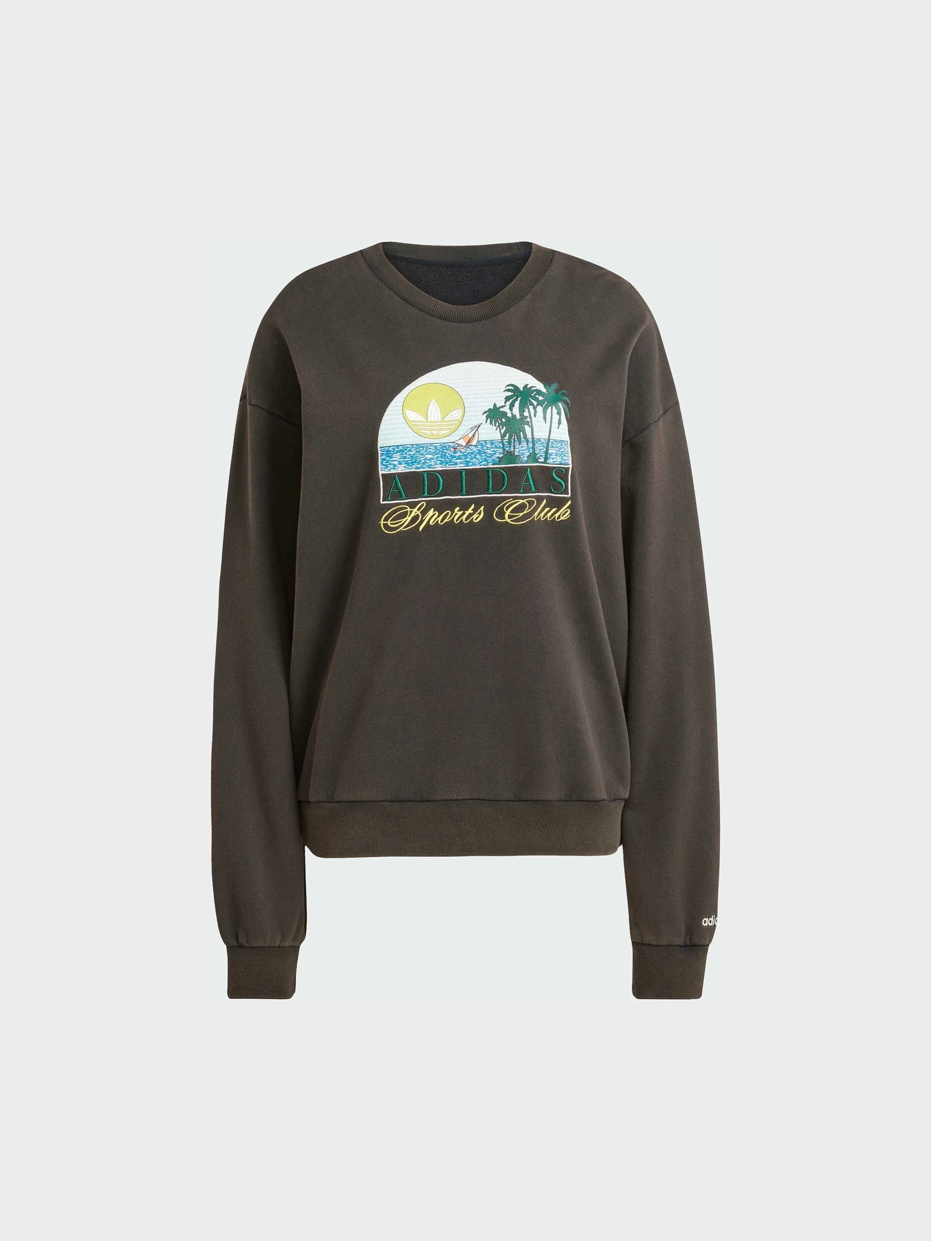 Худі та світшоти Adidas Graphics модель JN6685 Фото
