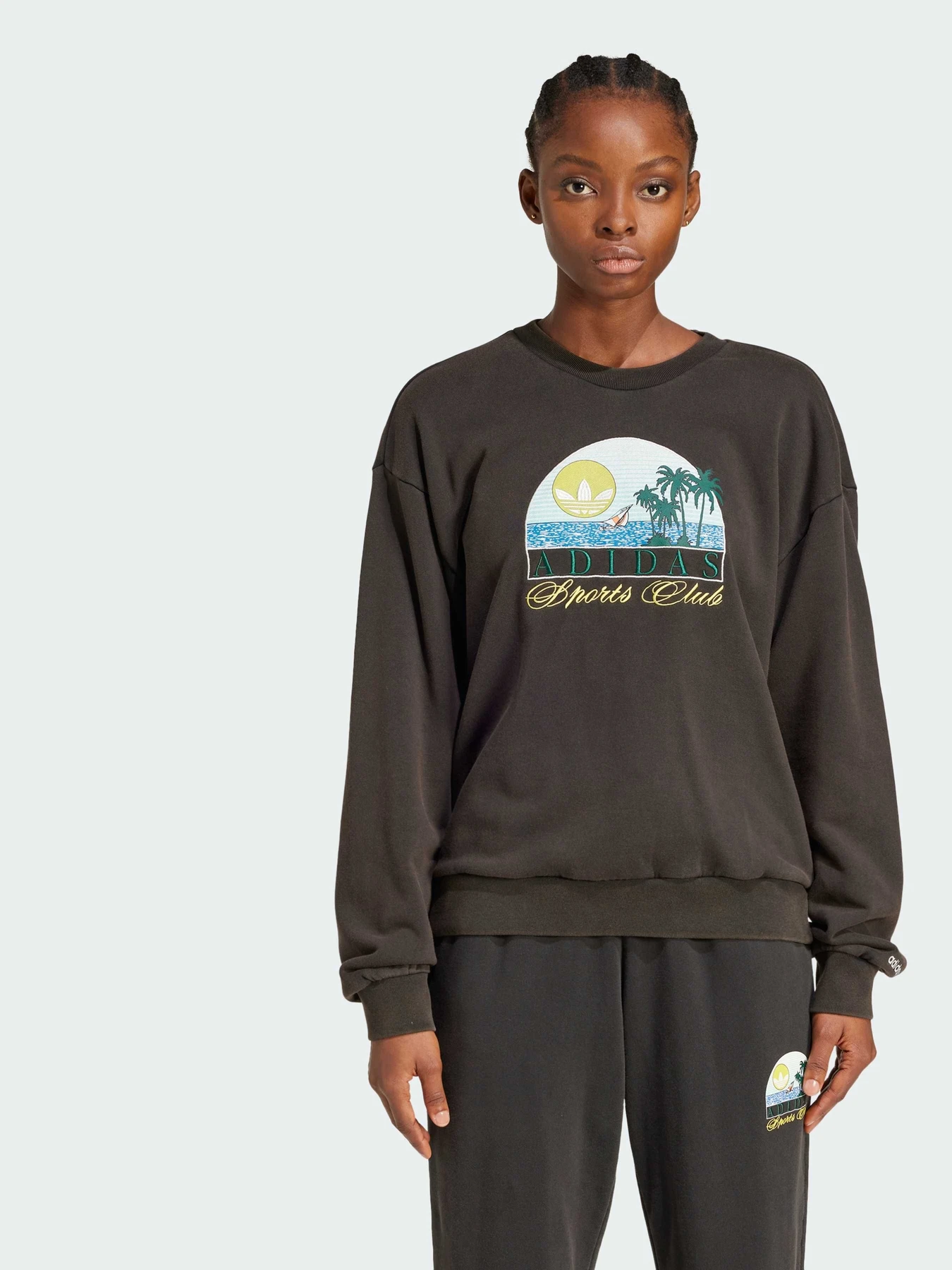 Худі та світшоти Adidas Graphics модель JN6685 Фото