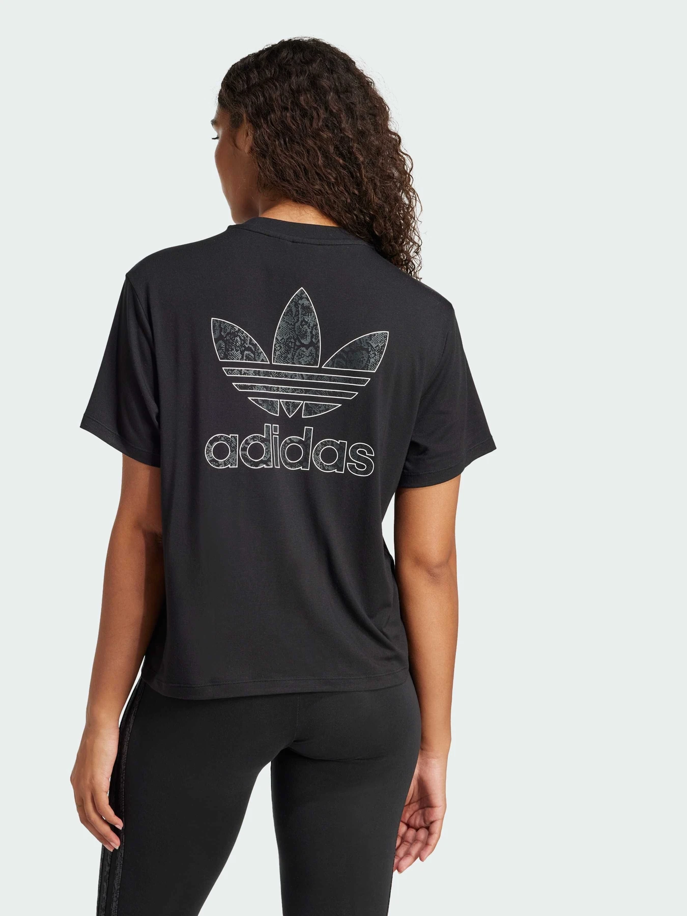 Футболки и поло Adidas Graphics модель JC5748 Футболки и поло Adidas Graphics модель JC5748 Фото