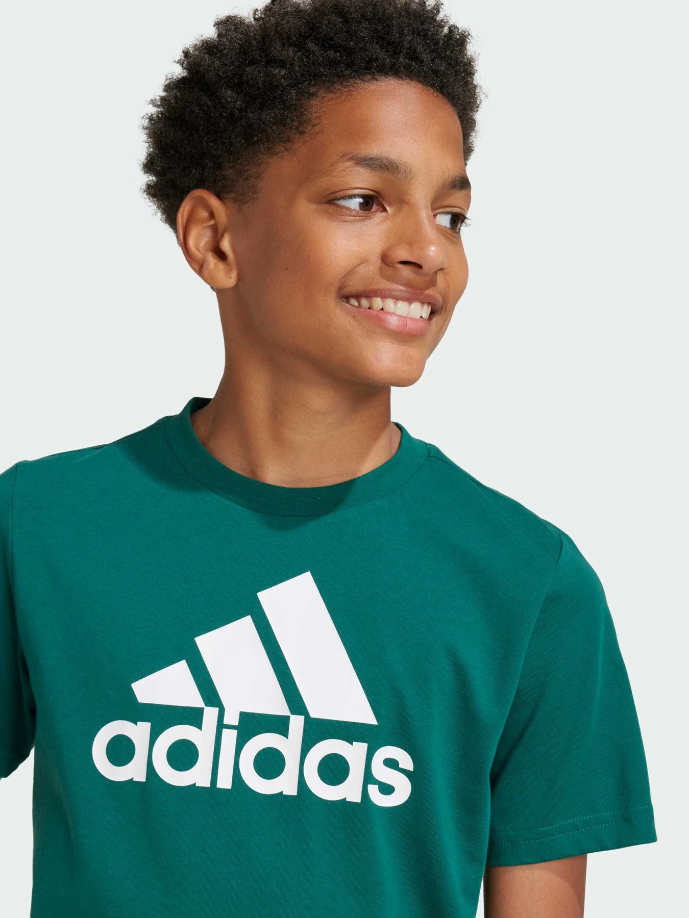 Футболки і поло Adidas модель IX9569 Футболки і поло Adidas модель IX9569 Фото