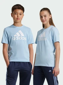 Футболки і поло Adidas модель IX9570 Фото