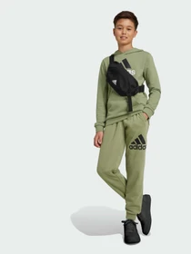 Штани Adidas модель IX9586 Фото