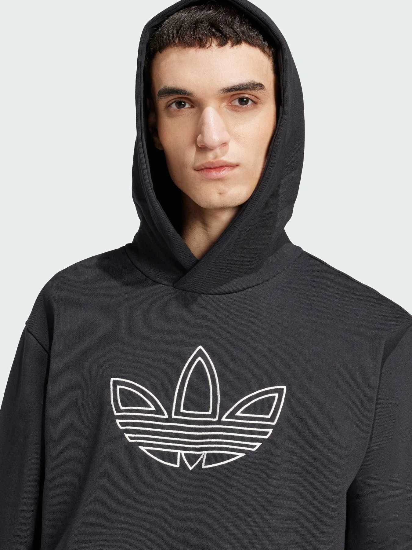 Худі та світшоти Adidas Adicolor модель JJ1506 Худі та світшоти Adidas Adicolor модель JJ1506 Фото