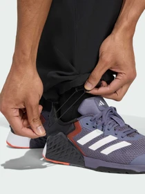Штани Adidas модель JN3679 Фото