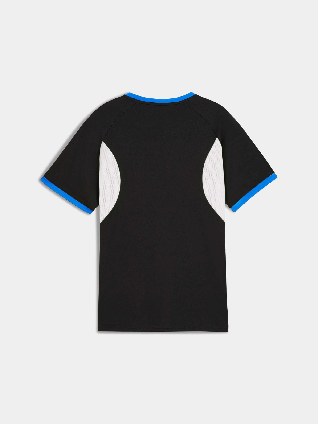 Футболки и поло PUMA Individualligajersey Jr модель 659527 Фото