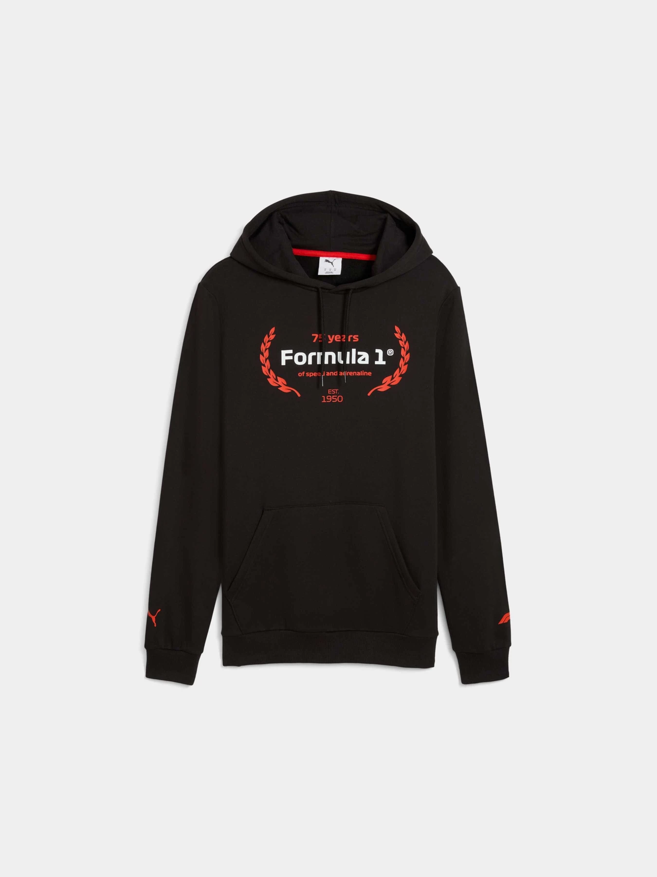 Худі та світшоти PUMA F1 Ess Logo Graphic Hoodie модель 633165 Фото