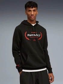 Худі та світшоти PUMA F1 Ess Logo Graphic Hoodie модель 633165 Фото