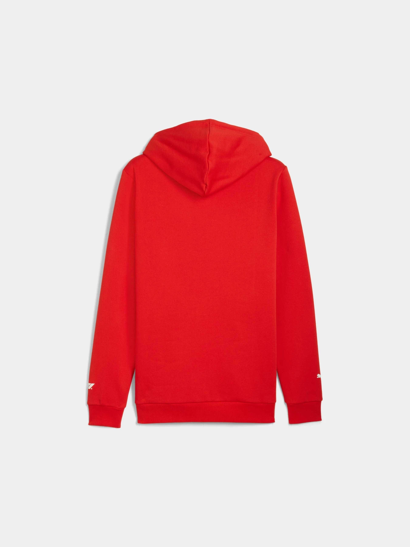 Худи и свитшоты PUMA F1 Ess Logo Graphic Hoodie модель 633165 Худи и свитшоты PUMA F1 Ess Logo Graphic Hoodie модель 633165 Фото