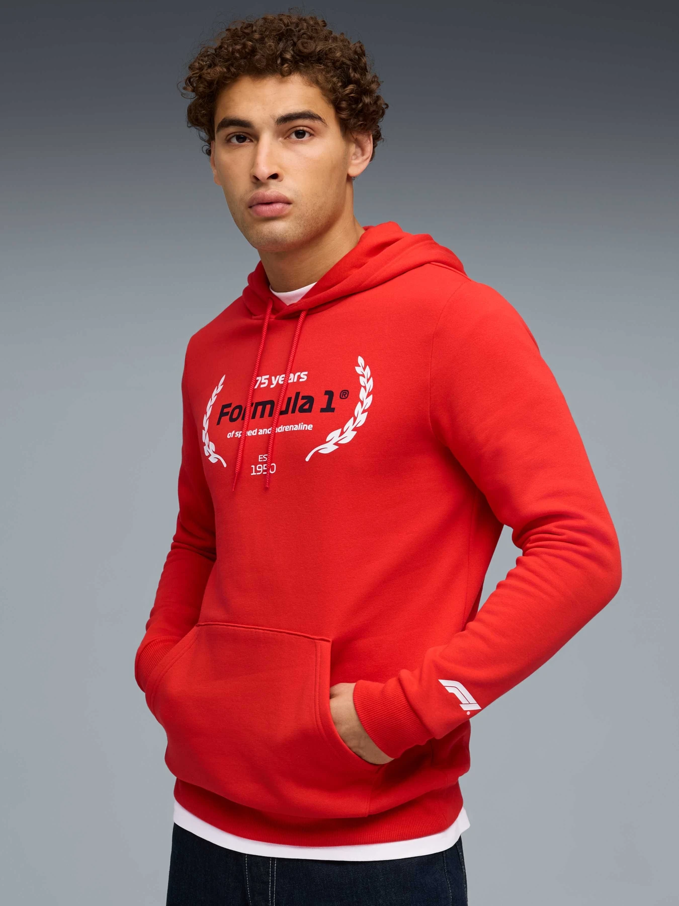 Худи и свитшоты PUMA F1 Ess Logo Graphic Hoodie модель 633165 Худи и свитшоты PUMA F1 Ess Logo Graphic Hoodie модель 633165 Фото