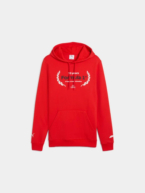 Худи и свитшоты PUMA F1 Ess Logo Graphic Hoodie модель 633165 Фото
