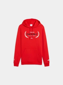 Худи и свитшоты PUMA F1 Ess Logo Graphic Hoodie модель 633165 Фото