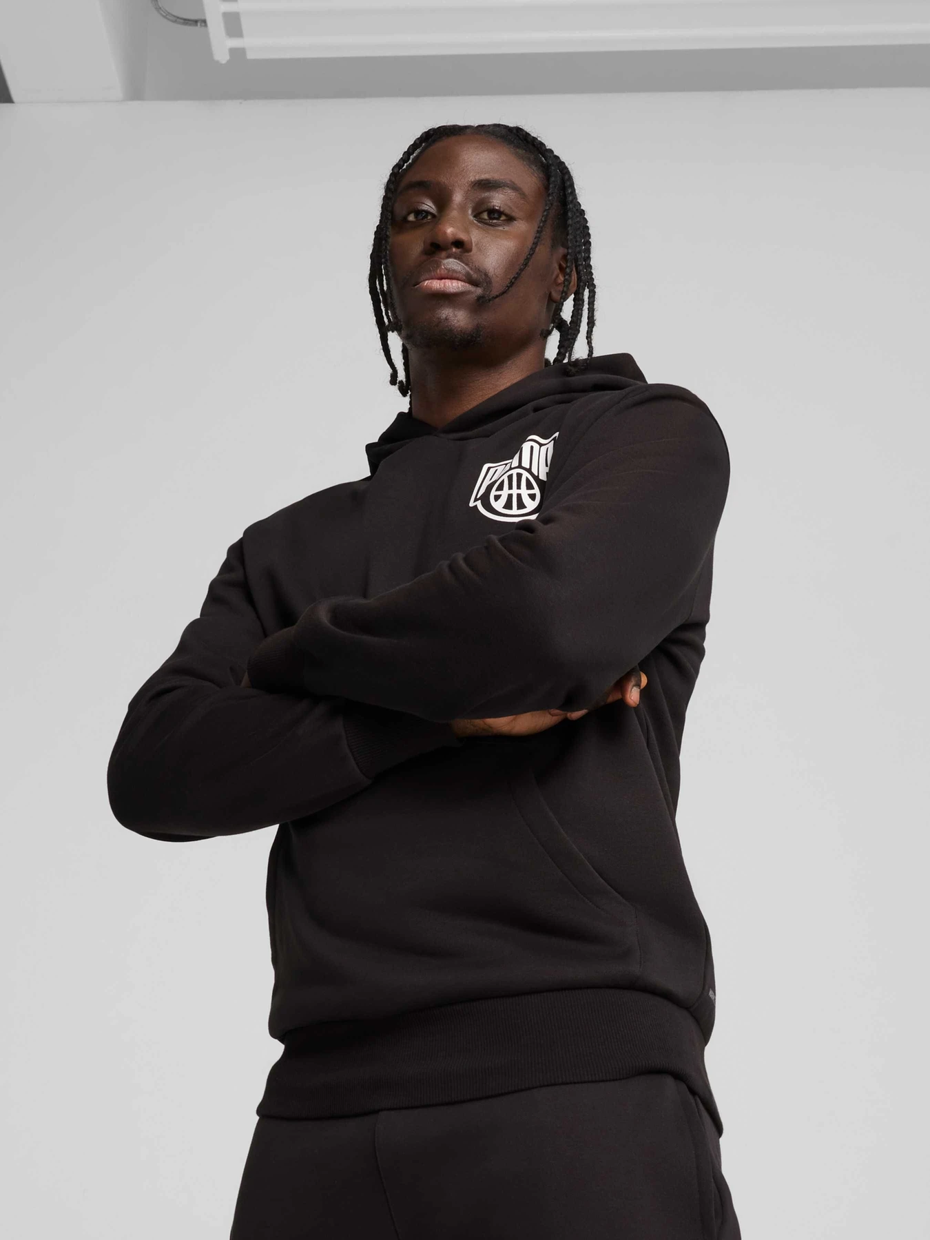Худи и свитшоты PUMA Posterize Hoodie модель 630290 Фото