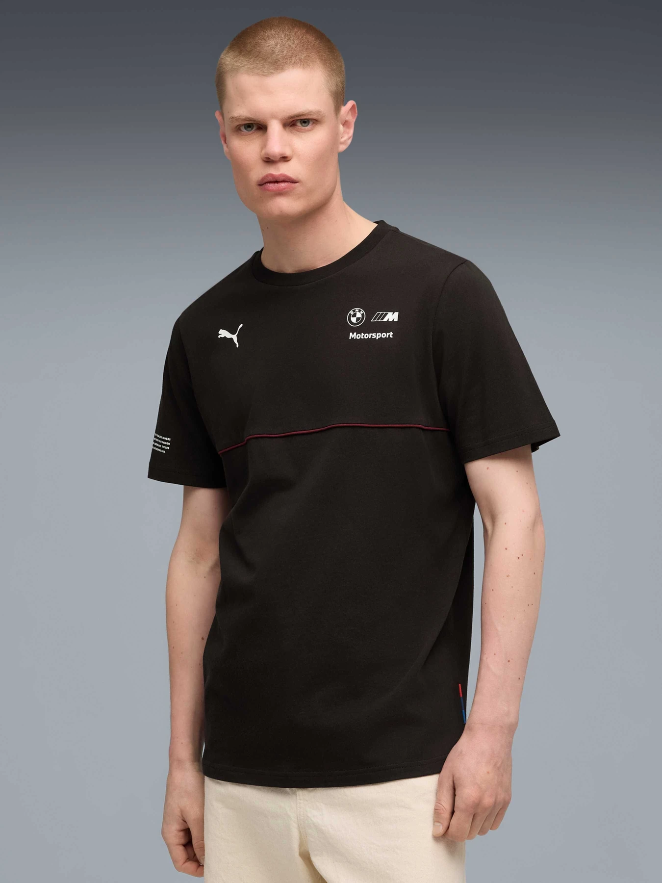 Футболки і поло PUMA Bmw Mms Sds 2.0 Tee модель 632587 Футболки і поло PUMA Bmw Mms Sds 2.0 Tee модель 632587 Фото