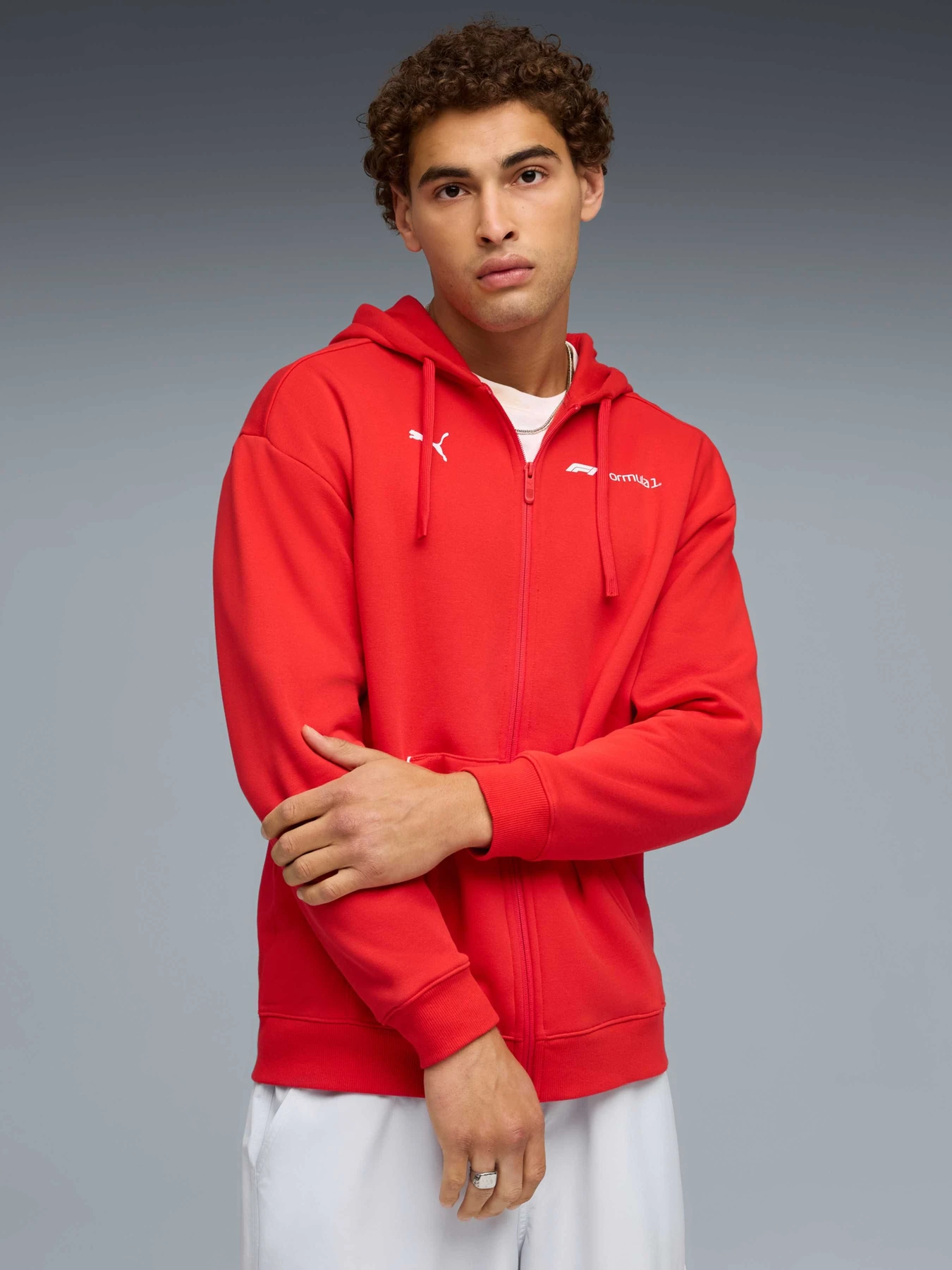 Худі та світшоти PUMA F1 Essential+ Fullzip Hoodie модель 632653 Худі та світшоти PUMA F1 Essential+ Fullzip Hoodie модель 632653 Фото