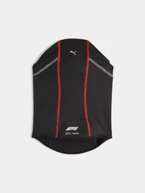 Шапки и кепки PUMA F1 Racing Balaclava модель 026588 Фото