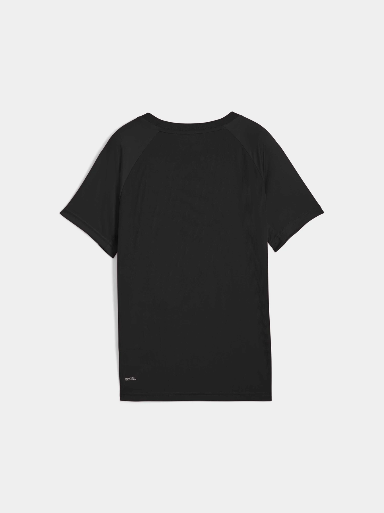 Футболки і поло PUMA Active Sports Poly Tee модель 527691 Футболки і поло PUMA Active Sports Poly Tee модель 527691 Фото