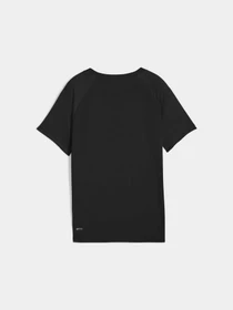Футболки і поло PUMA Active Sports Poly Tee модель 527691 Фото
