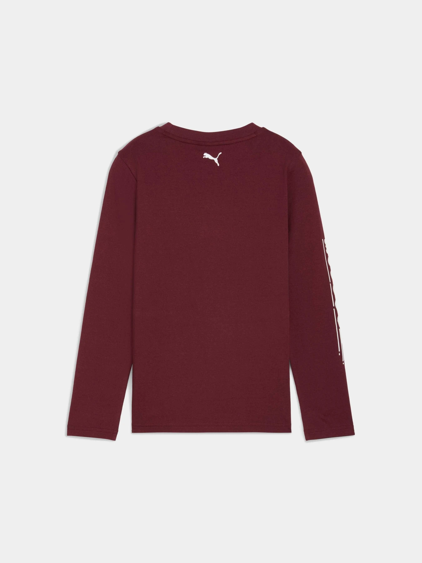 Худі та світшоти PUMA Super Longsleeve Tee модель 632234 Фото