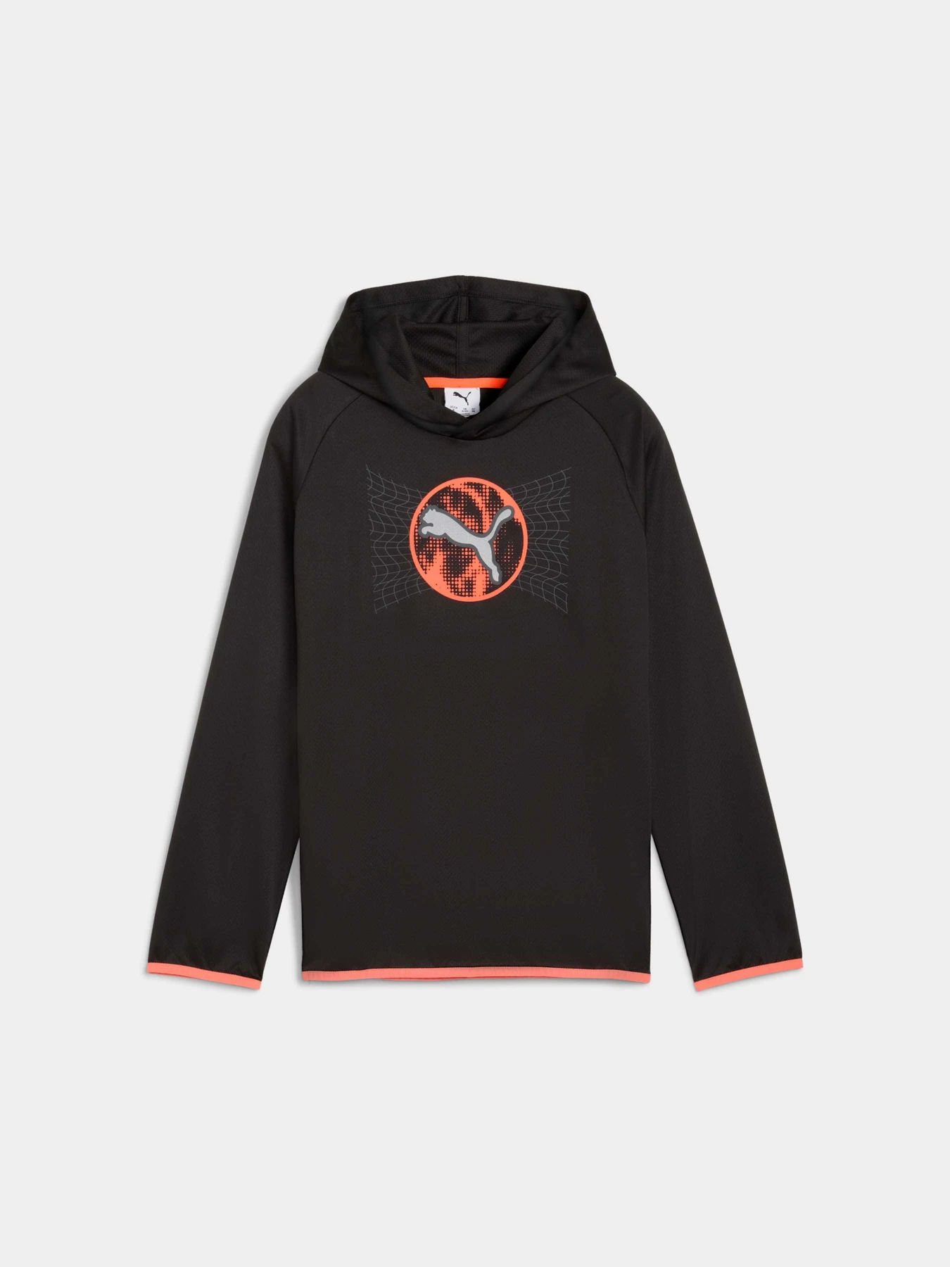Худи и свитшоты PUMA Active Sports Poly Hoodie модель 527692 Фото