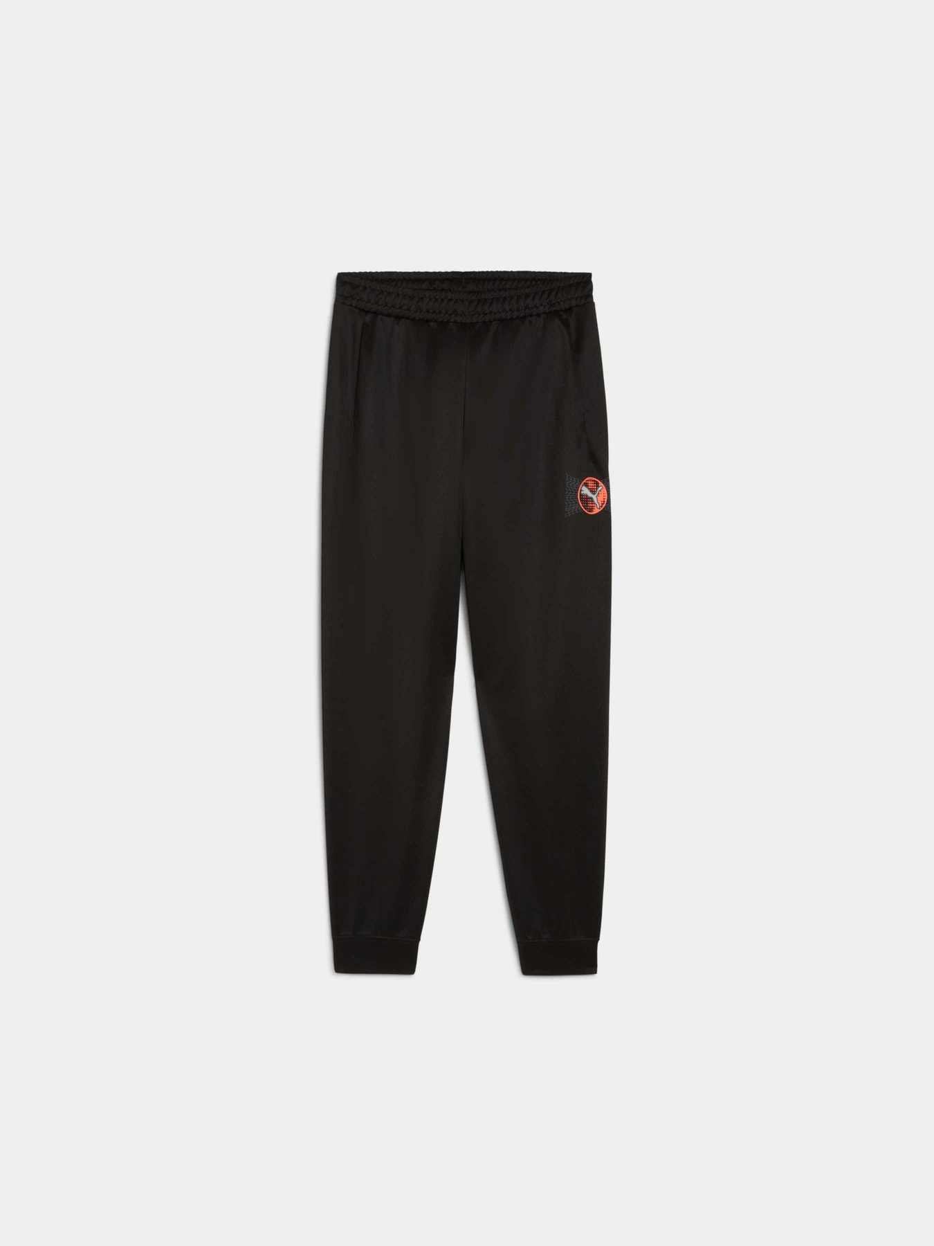 Брюки PUMA Active Sports Poly Pants модель 527693 Фото