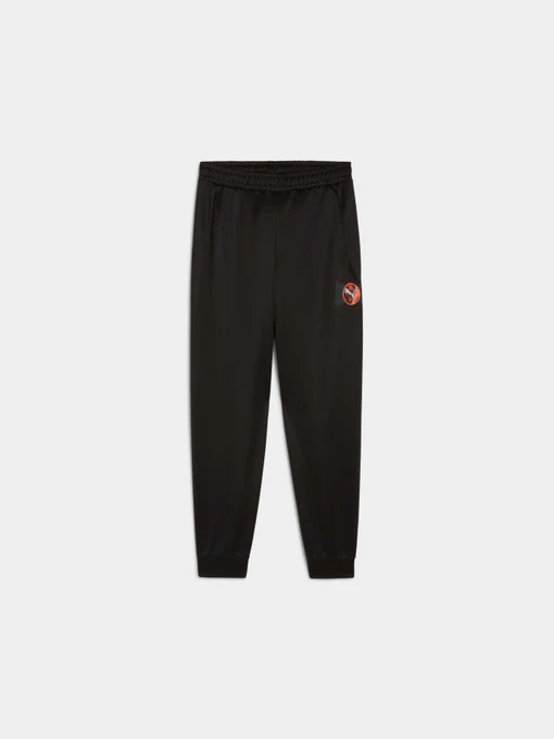 Брюки PUMA Active Sports Poly Pants модель 527693 Фото