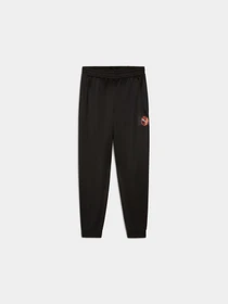 Брюки PUMA Active Sports Poly Pants модель 527693 Фото