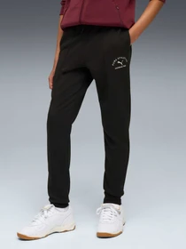 Брюки PUMA Class Sweatpants модель 688853 Фото