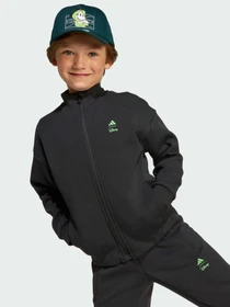 Худи и свитшоты Adidas x Disney модель JL9190 Фото